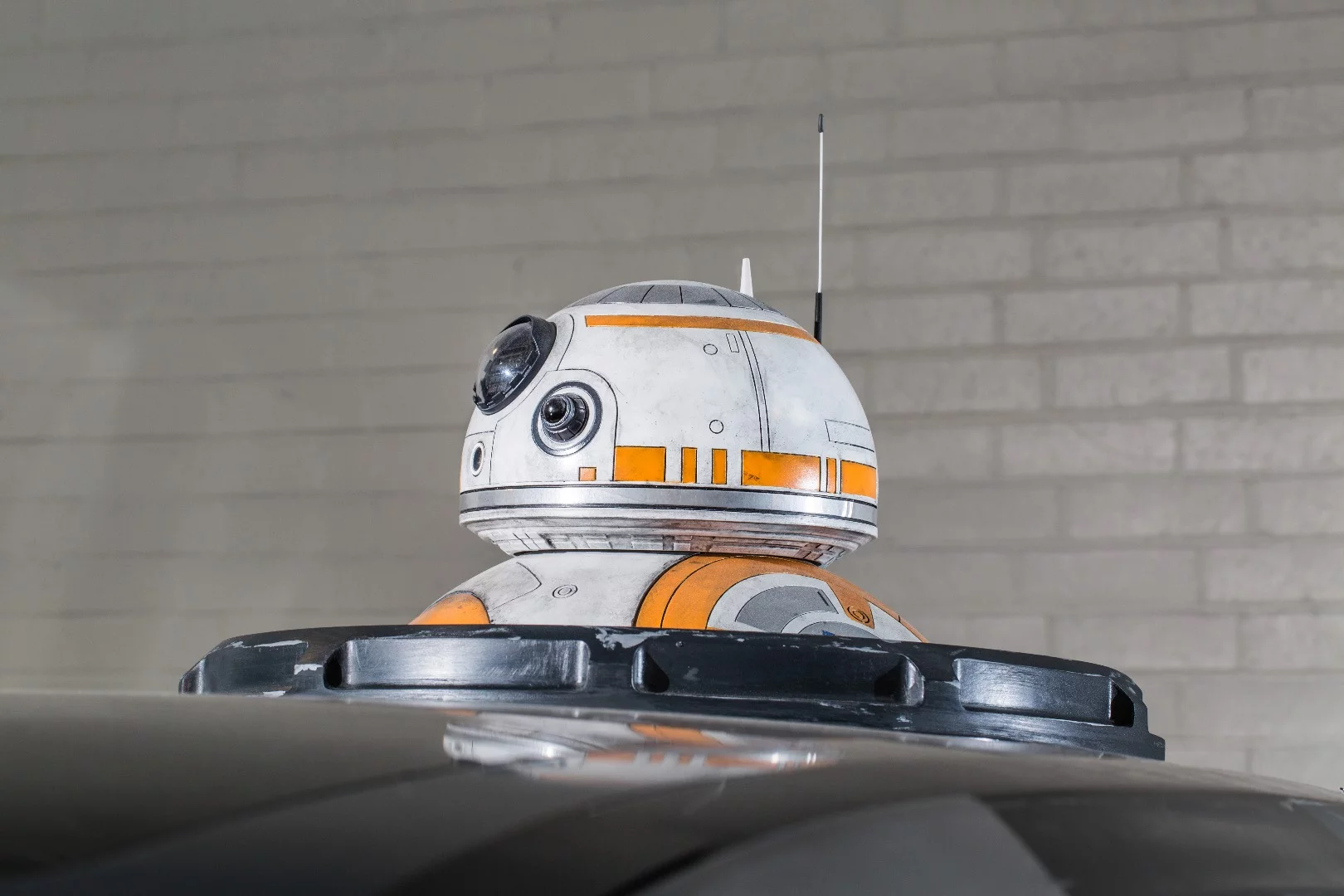 BB-8 makes an appearance