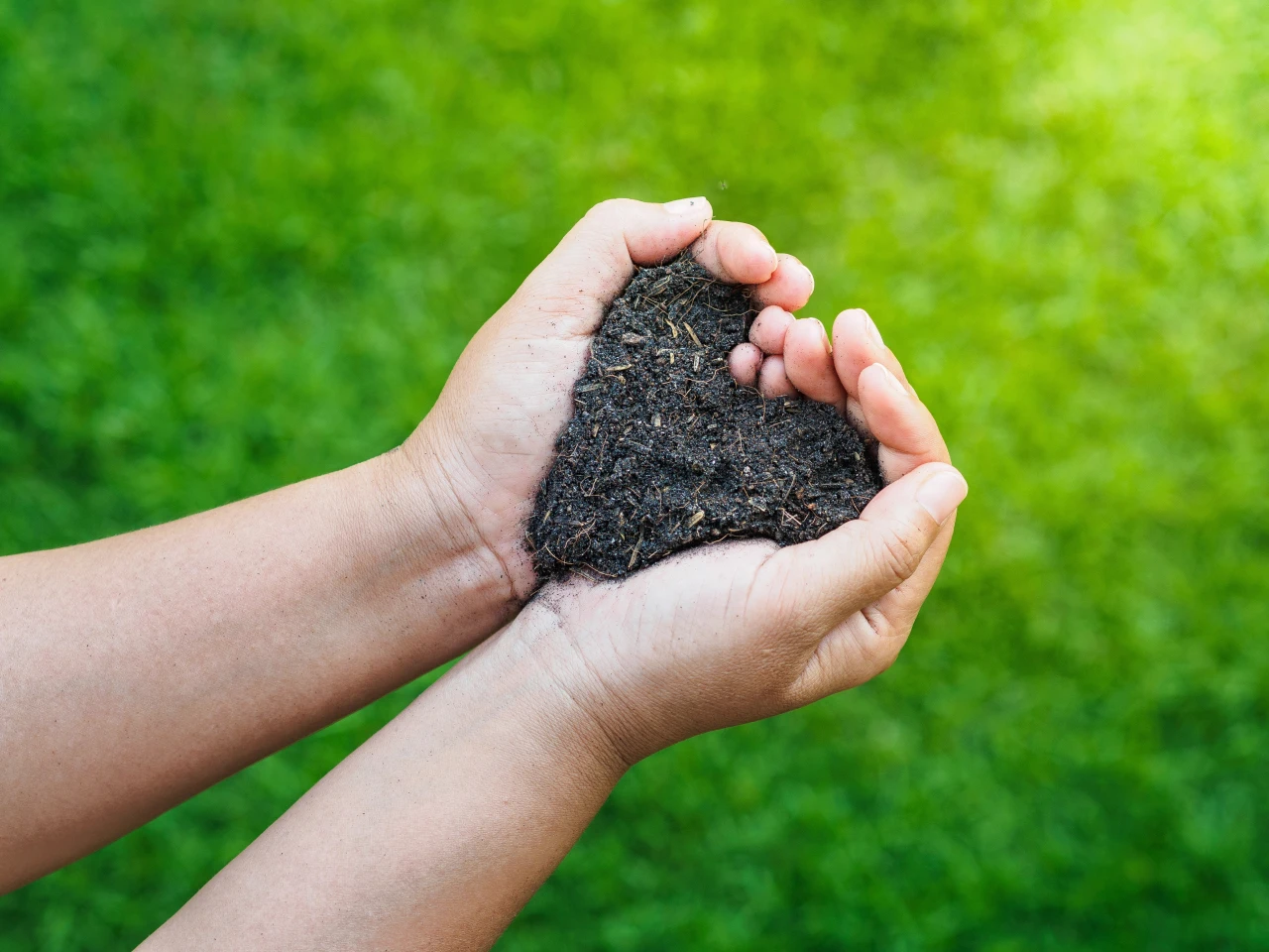 Human composting becomes legal as garden-variety burial demand surges