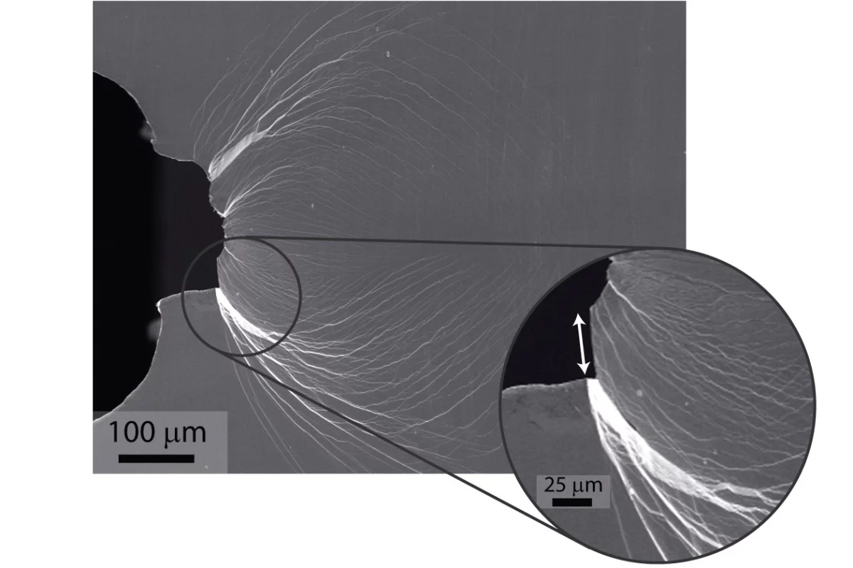 Main image shows extensive plastic shielding of an initially sharp crack. Inset is a magnified view of a shear offset (arrow) developed during plastic sliding before the crack opened. Image: Robert Ritchie and Marios Demetriou