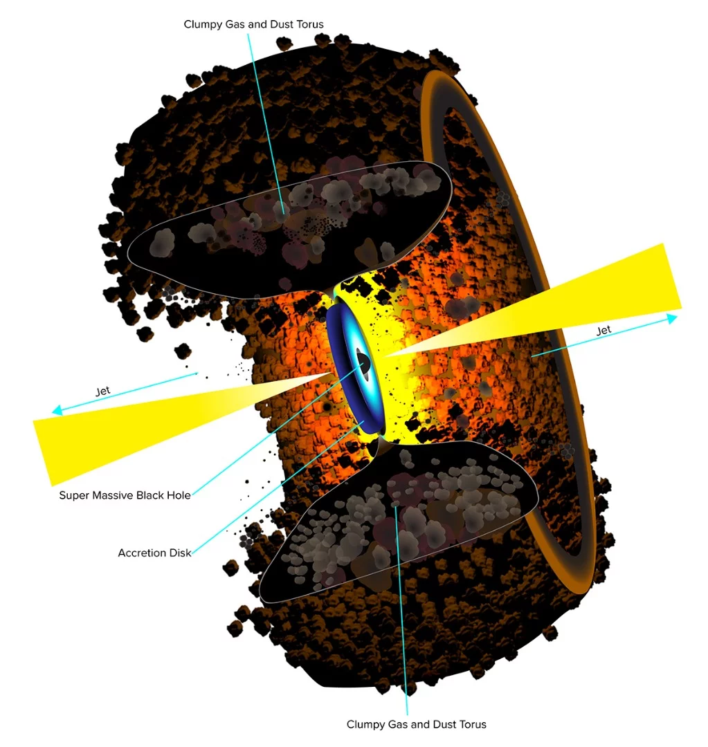 An annotated graphic of the torus around an active galactic nucleus