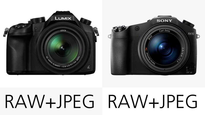 Both the Sony RX10 and the Panasonic FZ1000 are able to shoot JPEG, or more post-processing friendly RAW image files