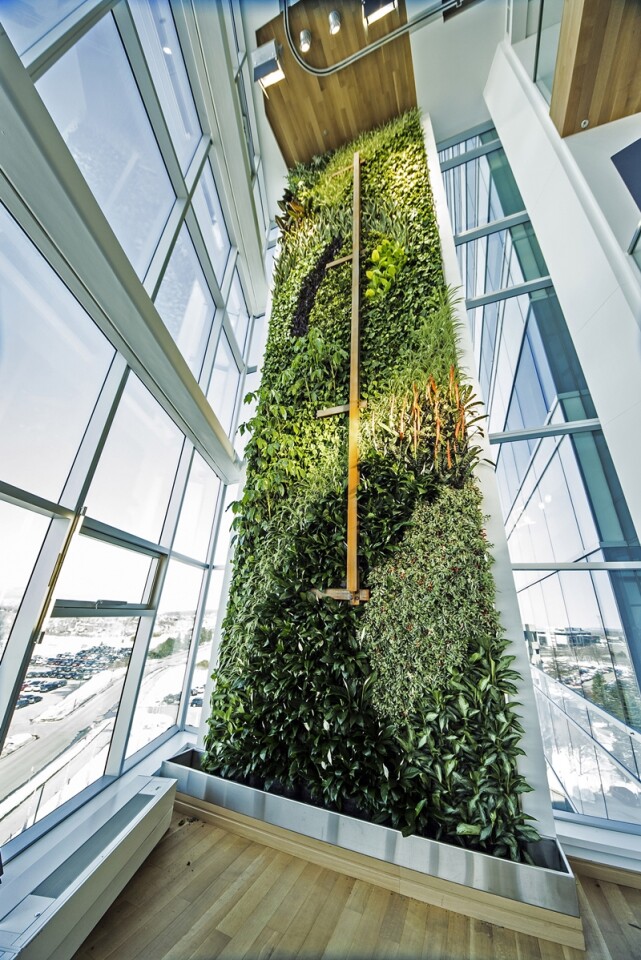 This wall spans a total area of 2,139 square feet (198 sq m)