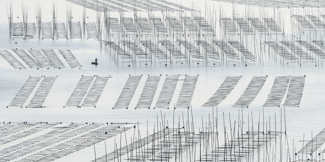 Some spectacular entries from the shortlist in the Open - Built Environment / Architecture category