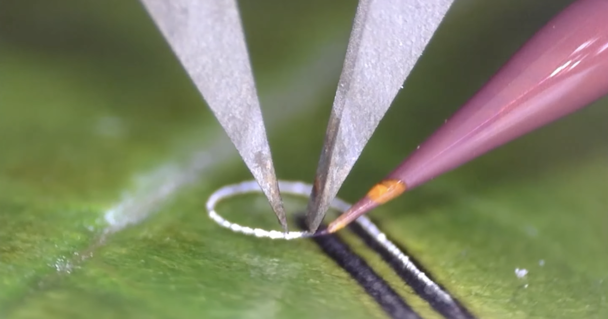 assets.newatlas.com image