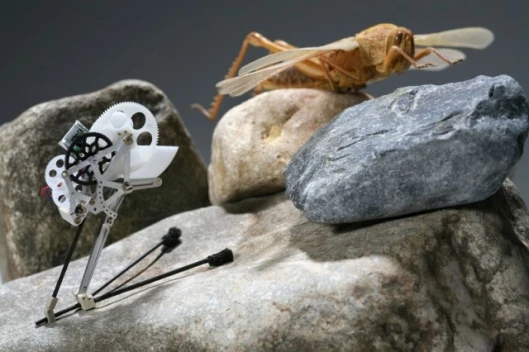 Jumping microbotPhoto: Alain Herzog/EPFL