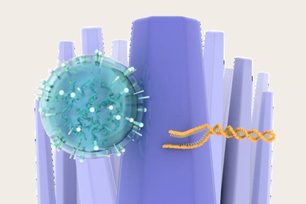 Japanese researchers have developed a technique for detecting brain cancer that uses nanowires to detect DNA mutations in urine