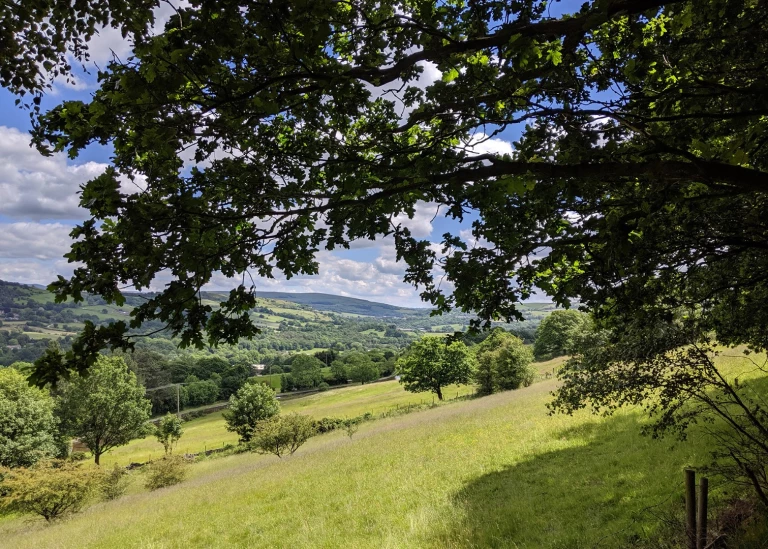 Google Pixel 3a and 3a XL review: Mid-range smartphones never looked so ...