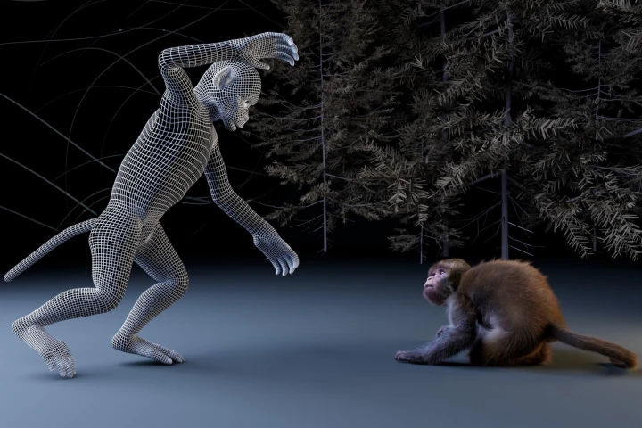 Complex Monkey Science News