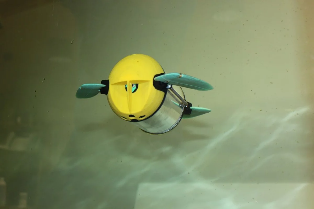 An early version of the U-CAT sea turtle robot