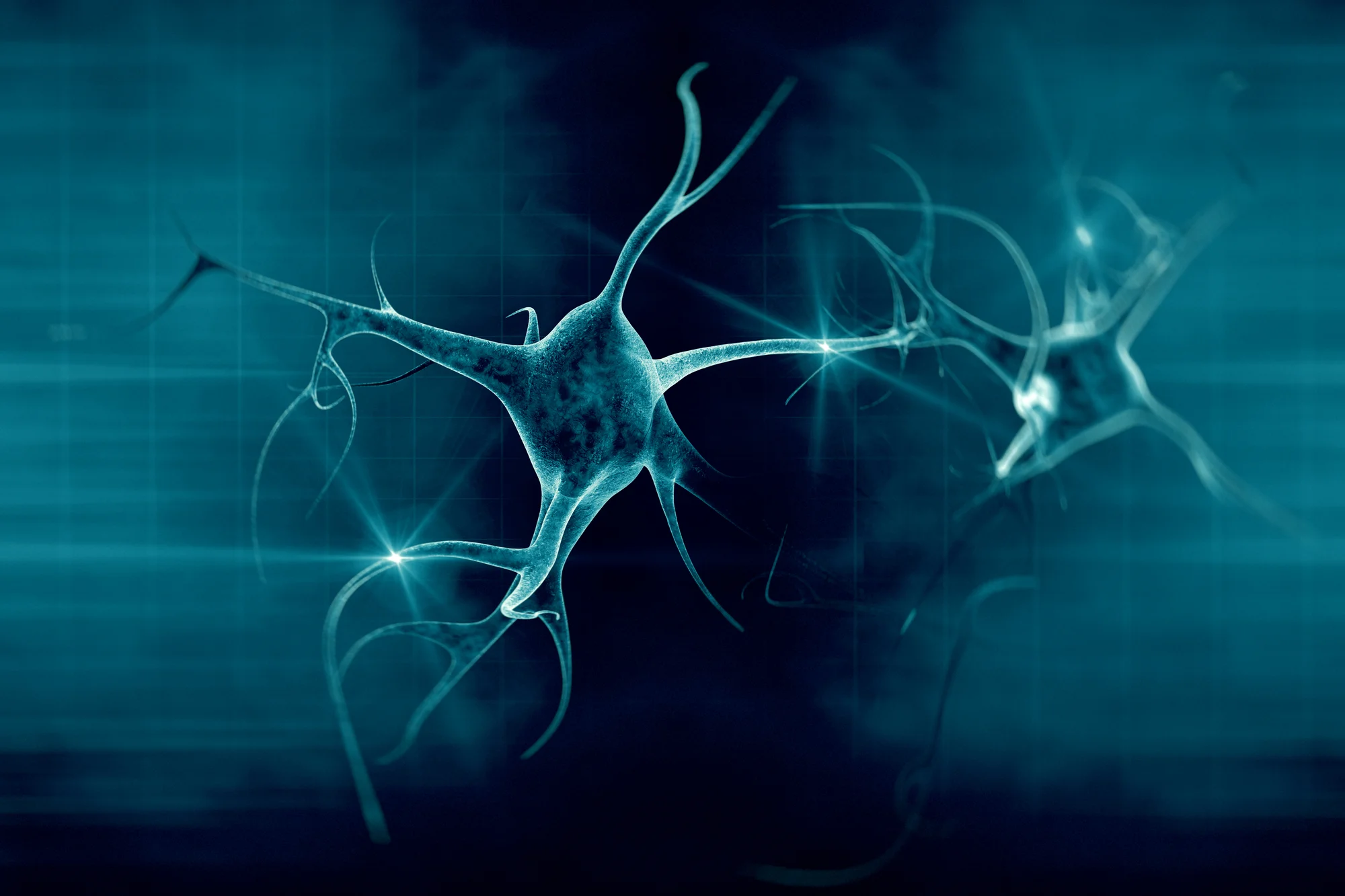 Neuron Bad The brain clearing out dead neurons captured in video first