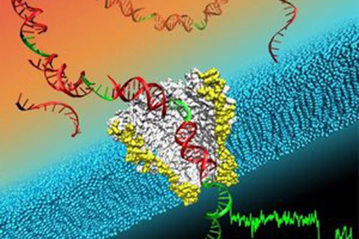 Illustration depicting a single strand of DNA moving through a nanopore that is being used to sequence the DNA (Image: Ian Derrington)