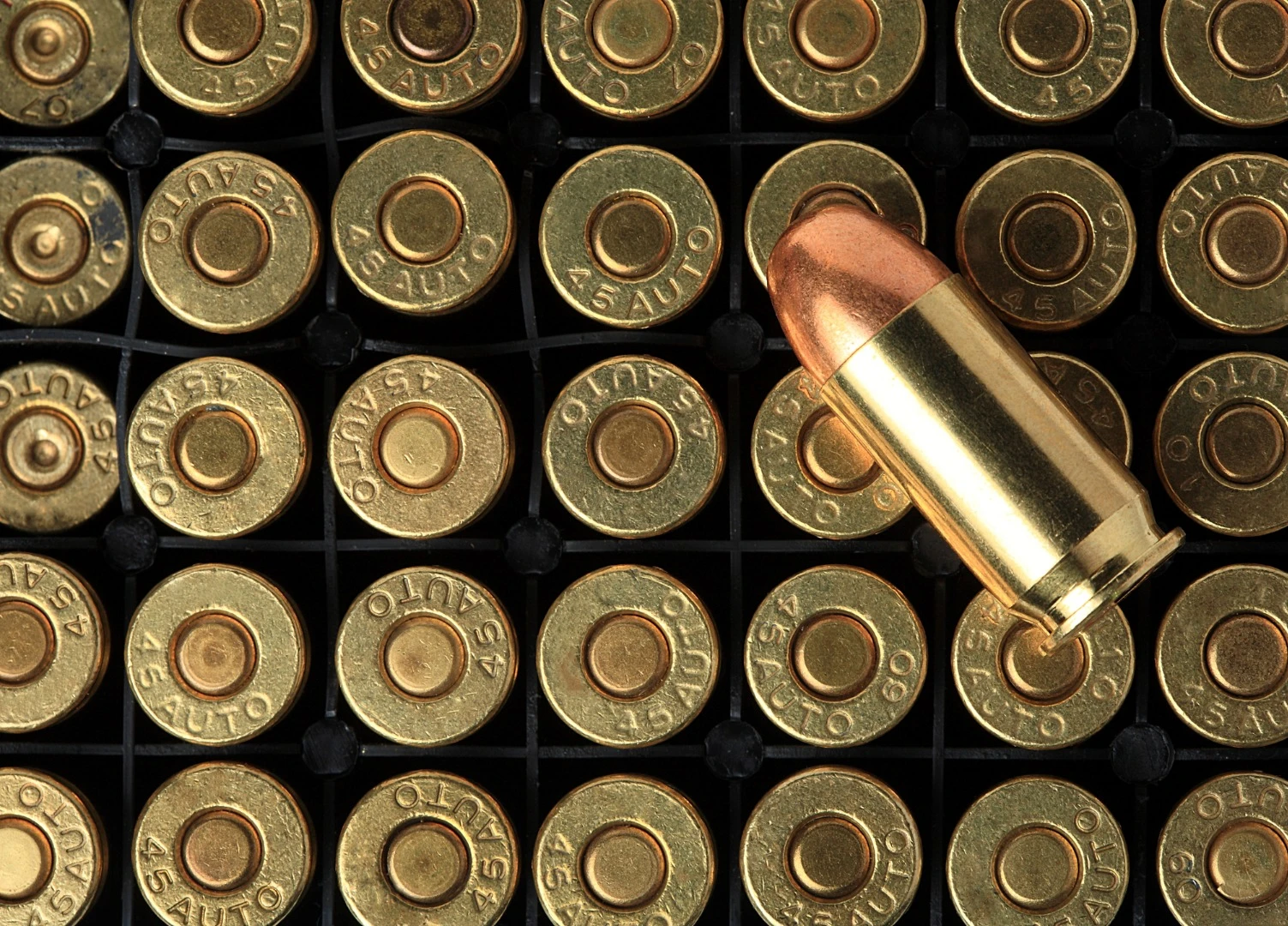 Also imperative is that animals are able to safely consume the plants that sprout from the bullets