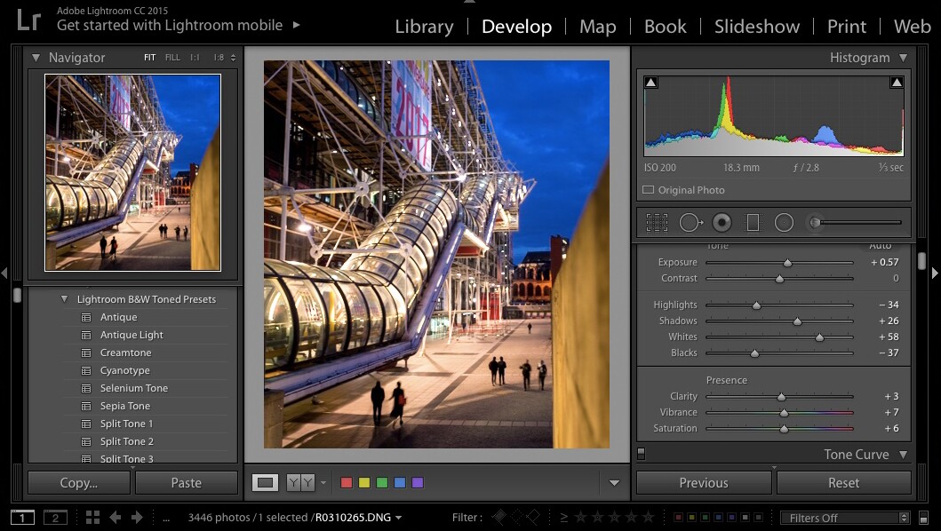 Processing RAW files lets users make the most of the information captured by their digital camera