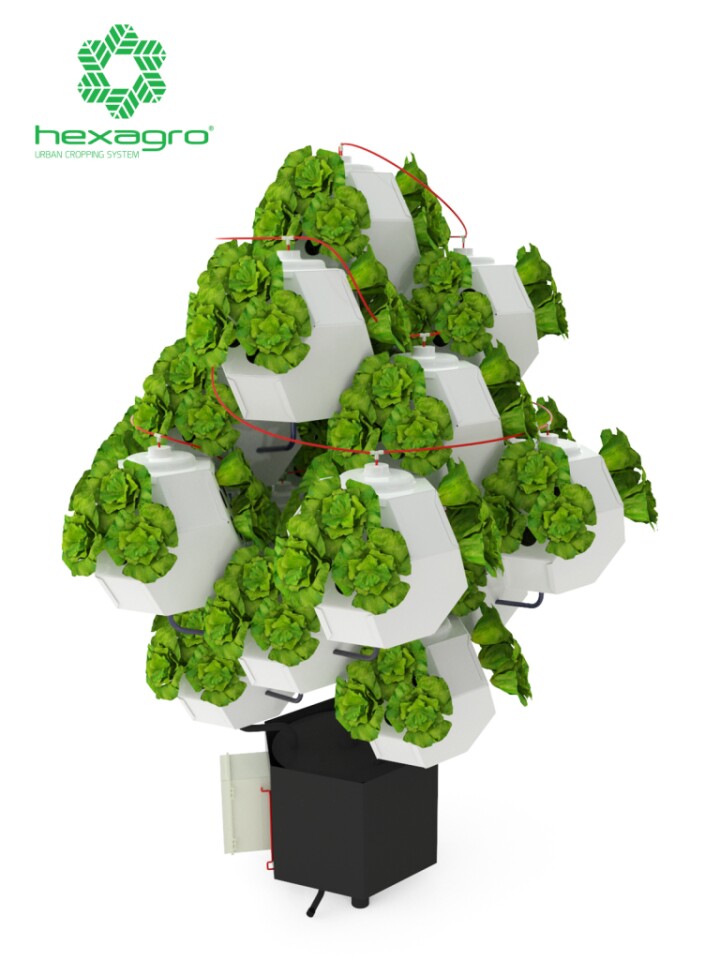 The Hexagro groundless growing system that allows people to grow food in limited spaces
