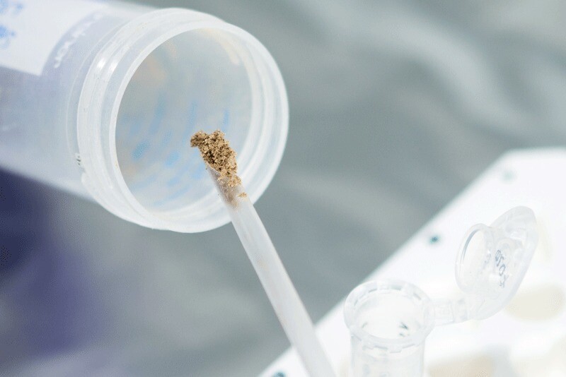 Without the need for fossils, this new technique could advance the study of ancient humans dramatically