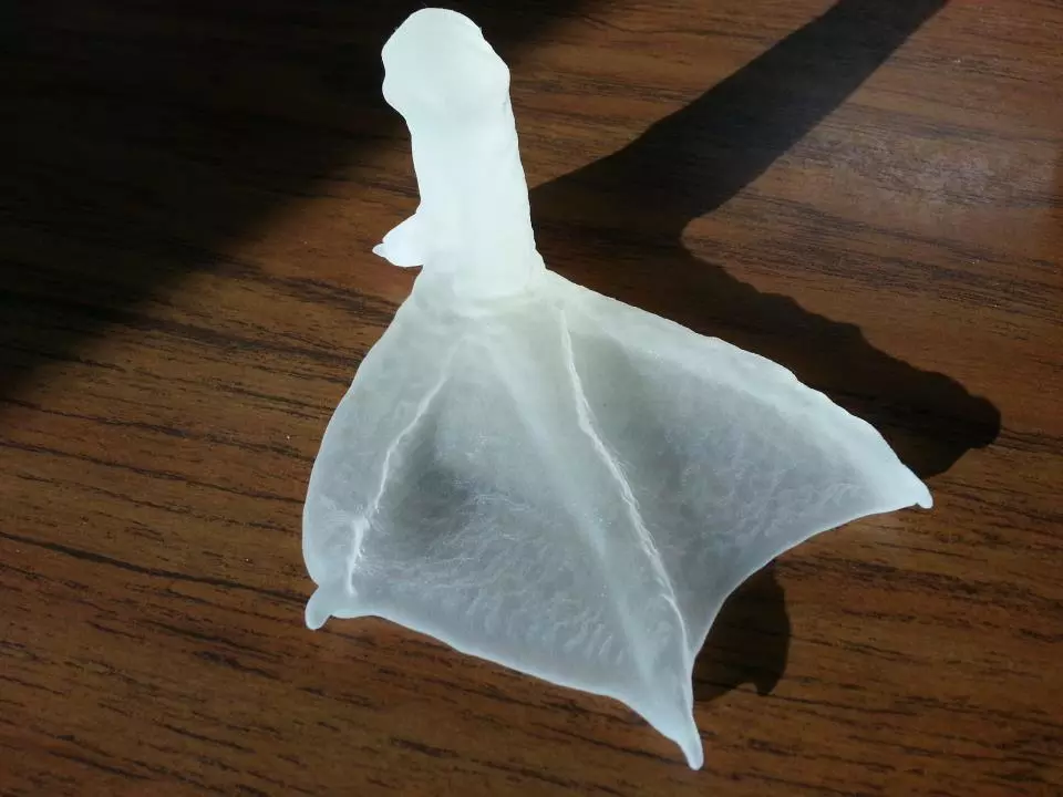 The mold for the foot