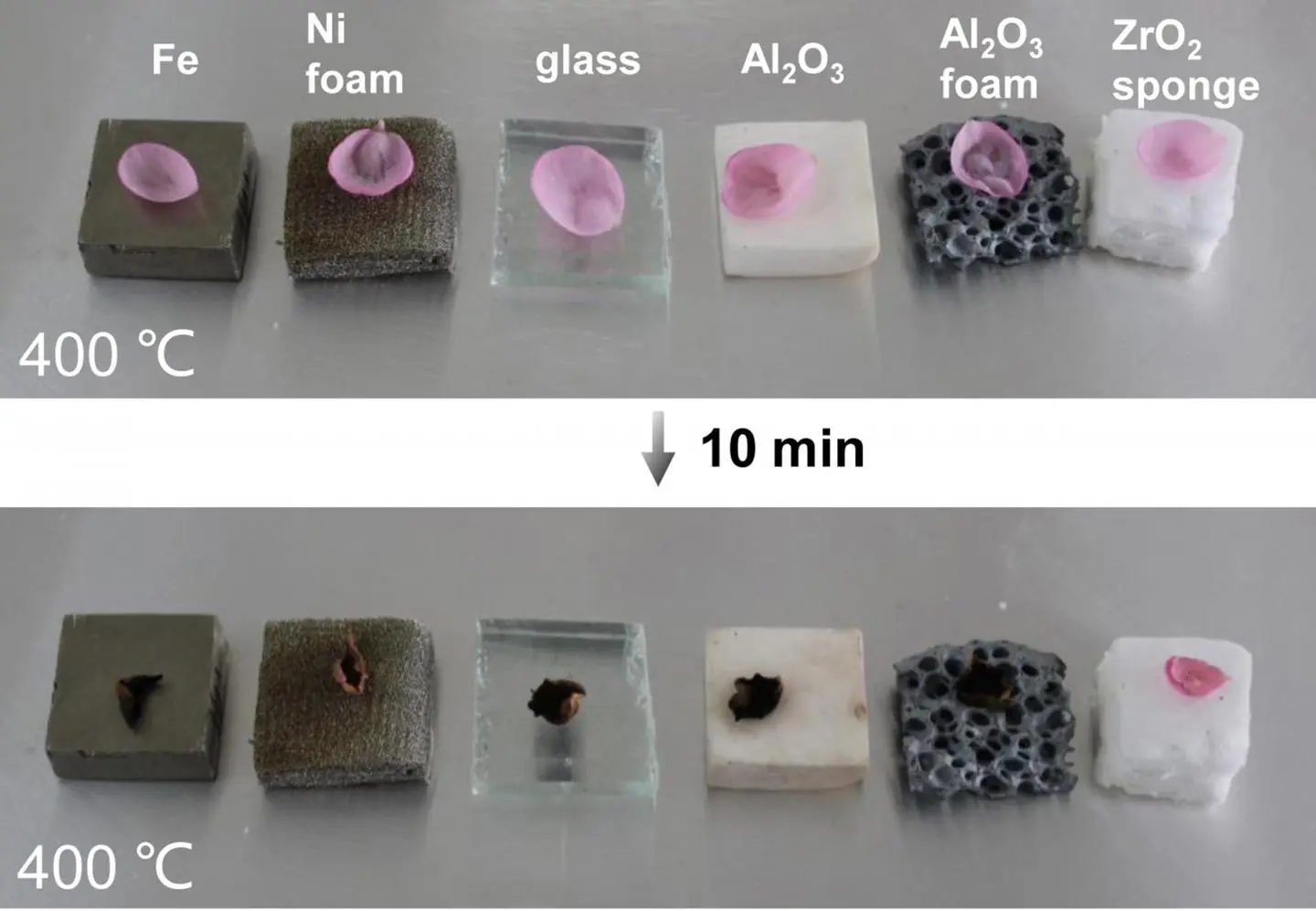 A sample of the ceramic sponge (far right) protects a flower petal from heat, where other porous ceramic materials fail