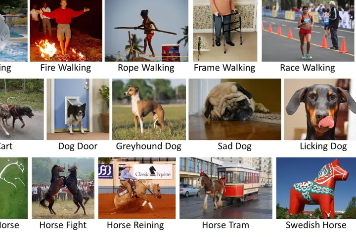LEVAN learns by associating words with images