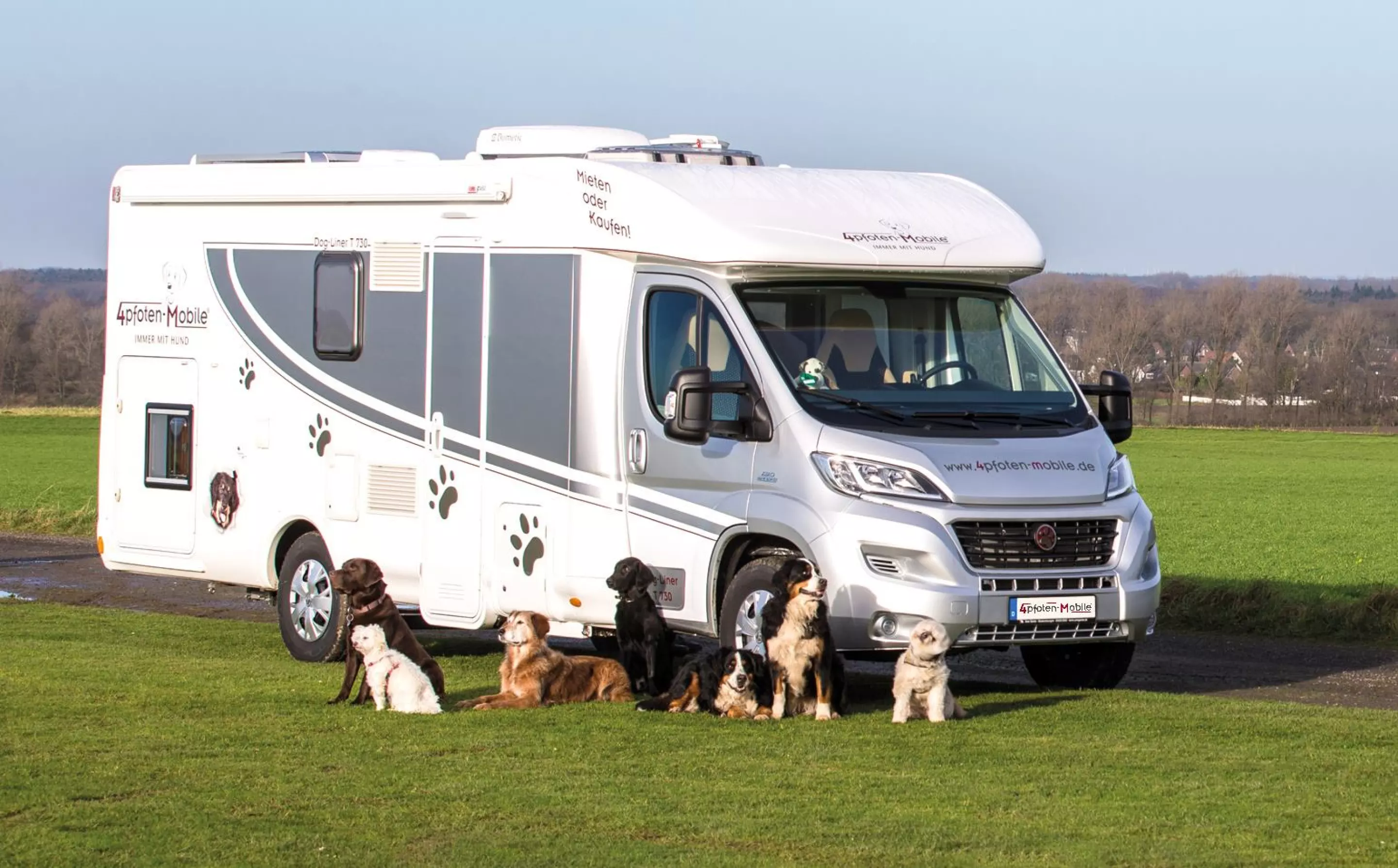 Unleash Your Adventure The Ultimate Guide To Finding Dog Friendly Motorhomes For Rent