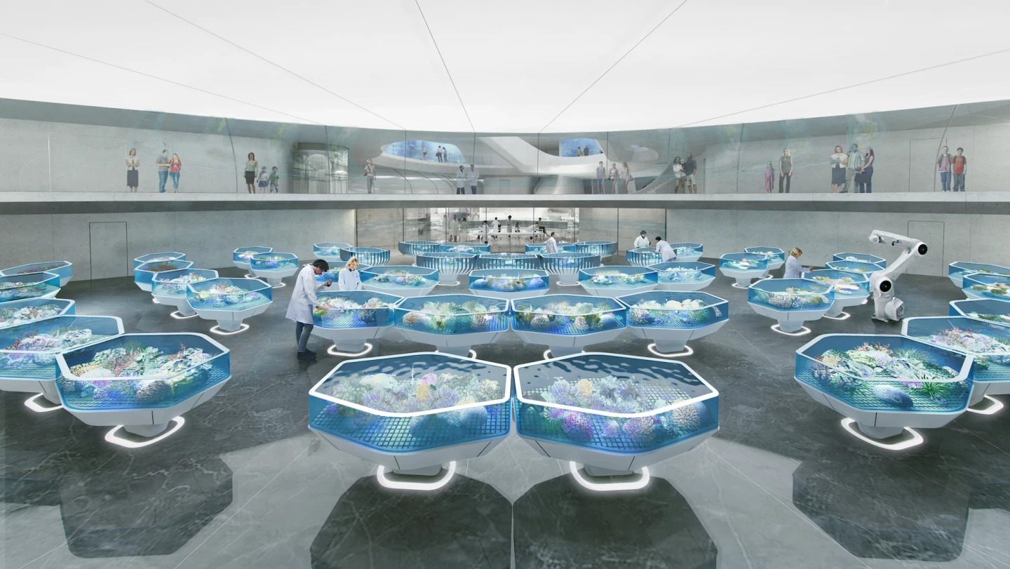 The Living Coral Biobank will aim to keep over 800 species of hard coral alive