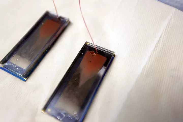 The chip traps tumor cells so they can be analyzed to see if treatment is working