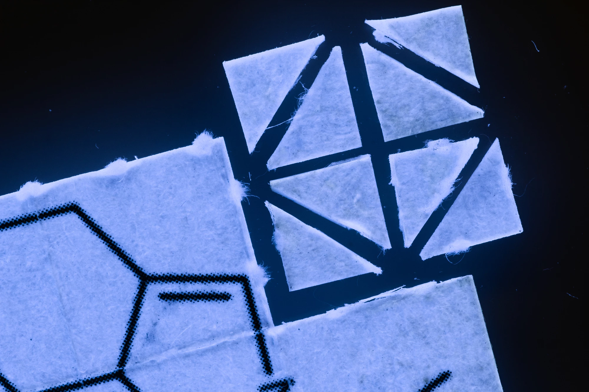 The trial tested two different LSD microdoses and found neither generated changes to mood or cognition after two weeks