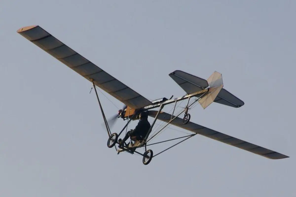 The Magnificent APEV electric Demoichelle