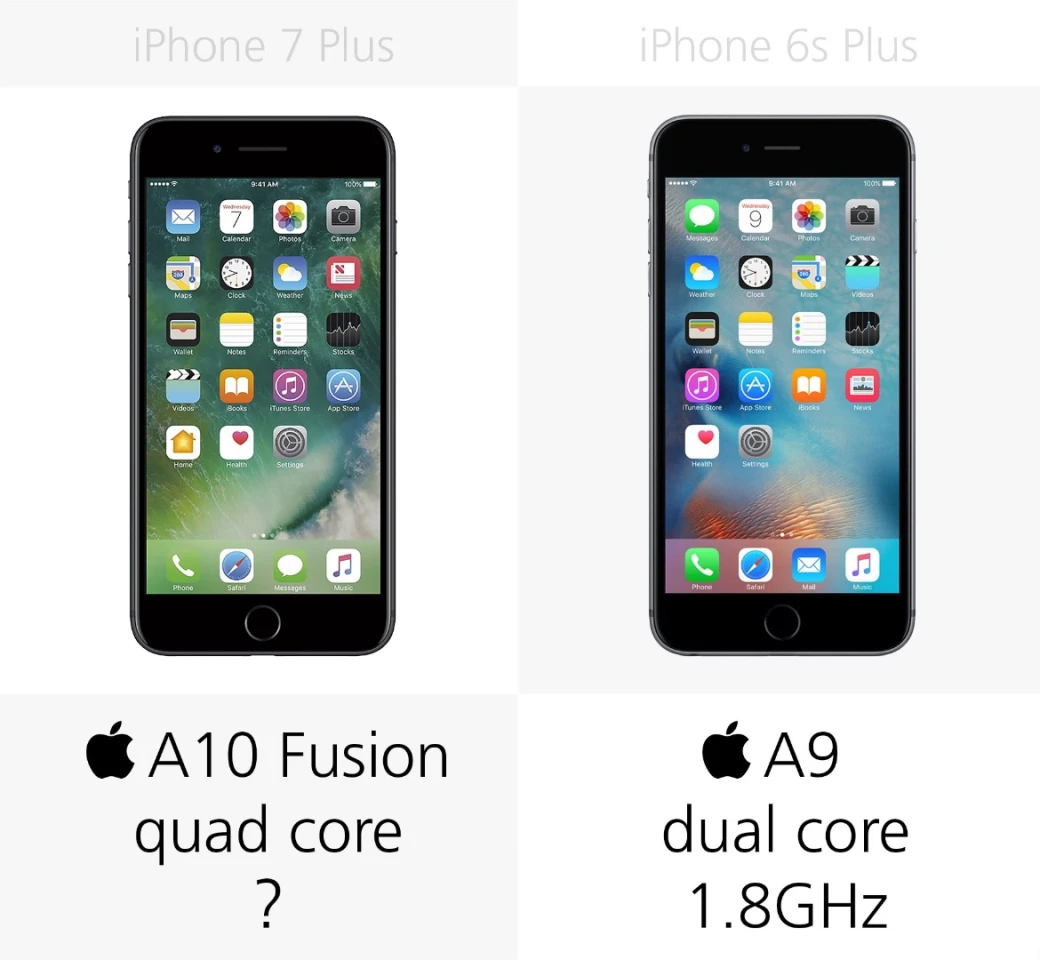 Processor
