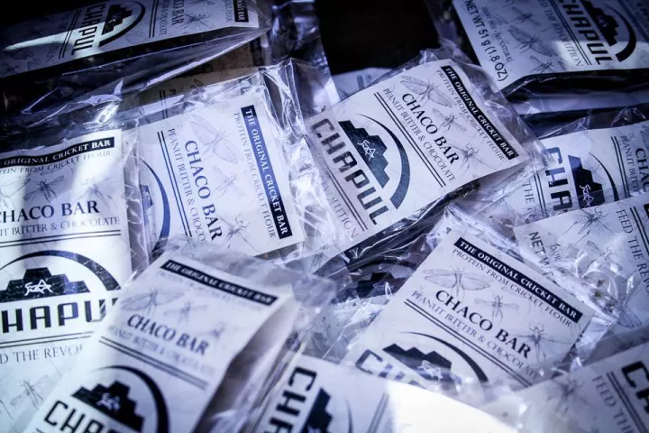 The creators of the Chapul Bar consider eating insects a way of conserving resources