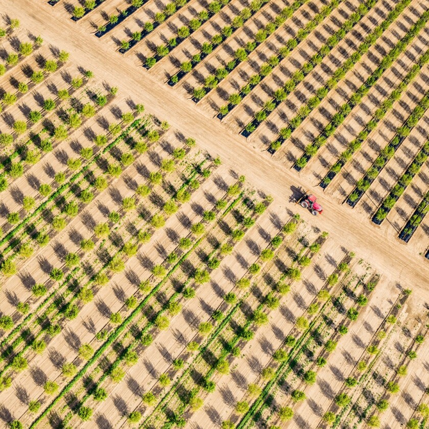 Mitch Rouse’s latest series, entitled ‘The Fabric of America’, examines agricultural patterns in California’s Central Valley