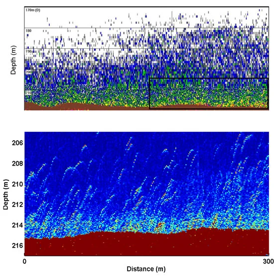 A traditional narrow-band system's ambiguous imagery (top) as compared to a higher-resolution broadband image (bottom) that shows individual fish