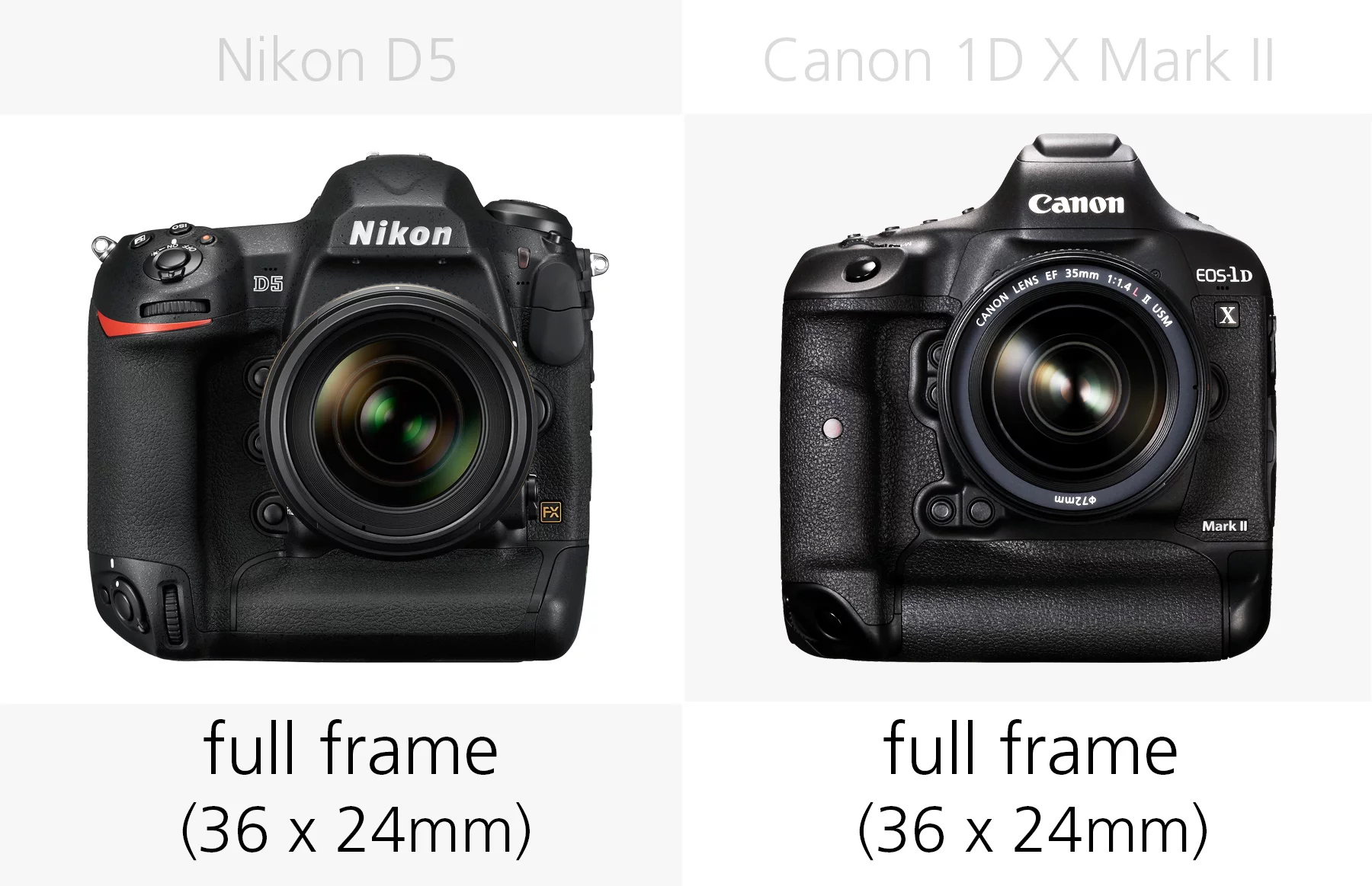 Sensor size comparison of the Nikon D5 and Canon 1D X Mark II