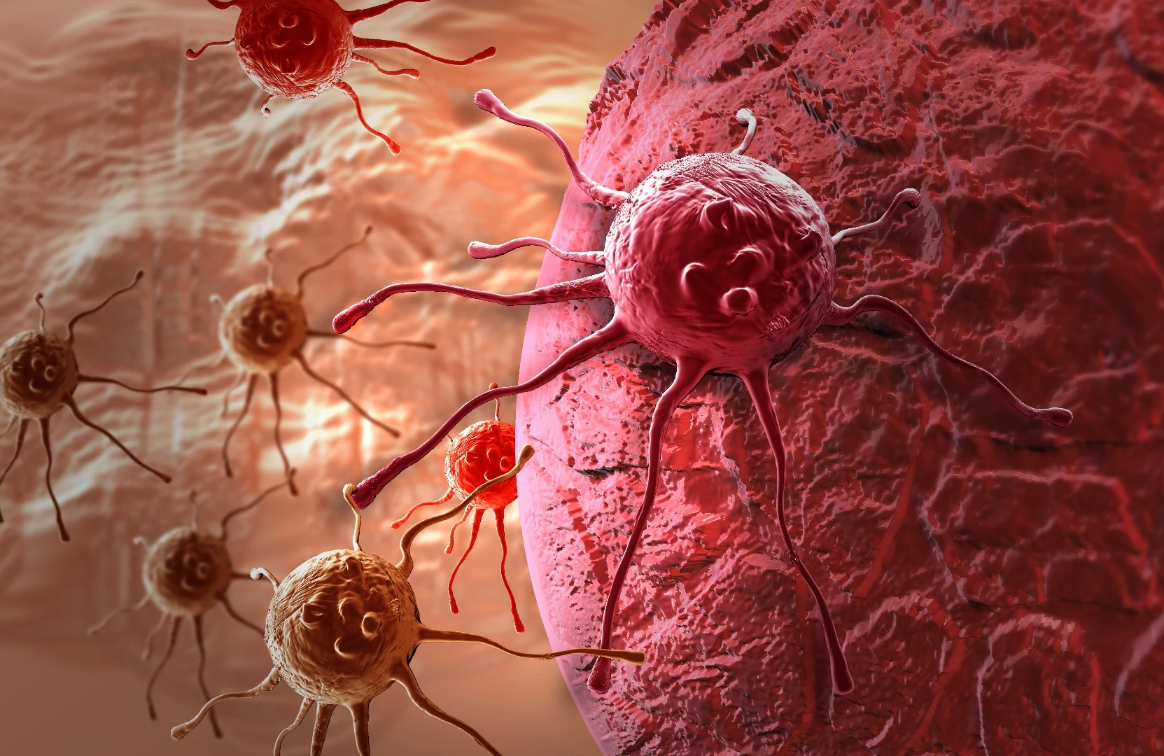 The study uses both data analysis and computational modelling to show that external factors play a big role in the occurrence of cancer