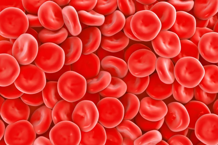 In the not-too-distant future, blood made with lab-grown red blood cells could be readily available for use in transfusions (Image: Shutterstock)