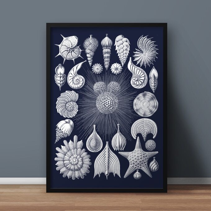 Individual posters are also available