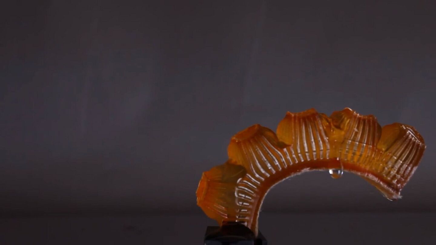 When the temperature rises above 30° C, water is squeezed out to evaporate on the surface and cool the finger-like actuator