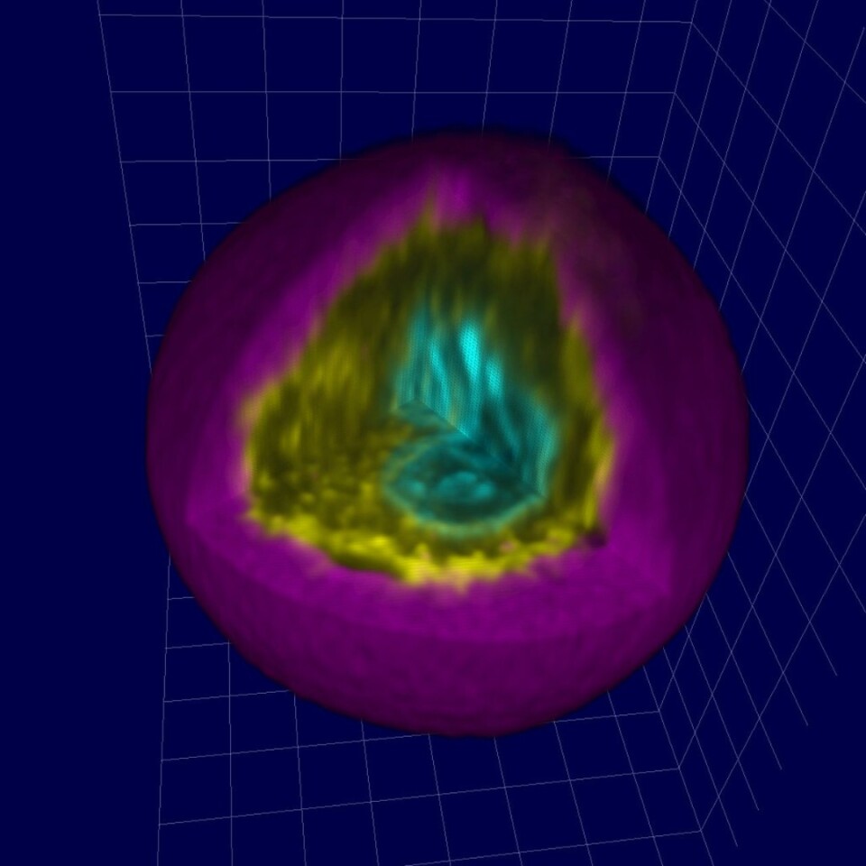 A 3D render of a mesenchymal stromal cell (MSC), including the nucleus (green), cytoskeleton (yellow) and microgel coating (purple)