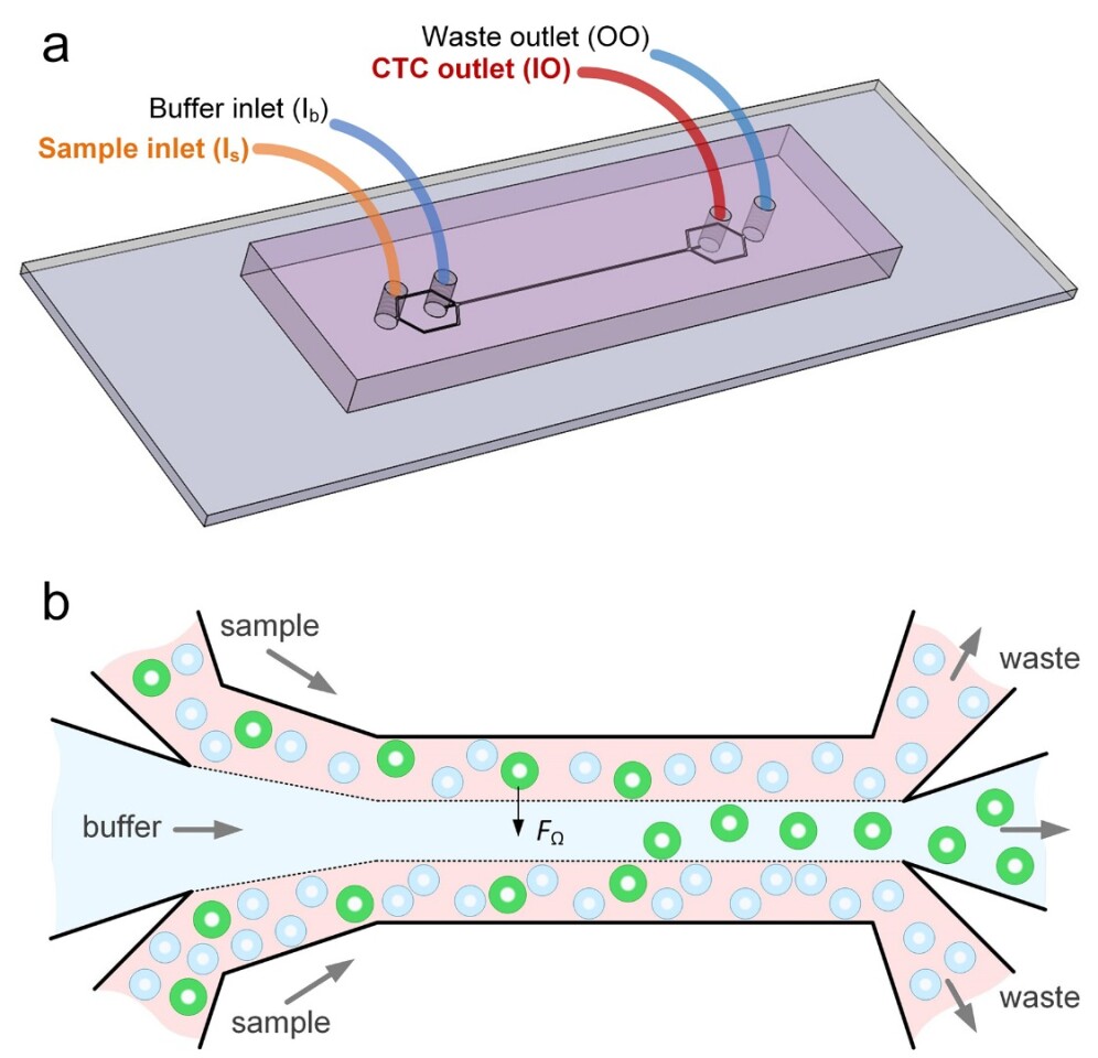 How the device separates the tumor cells from the blood sample