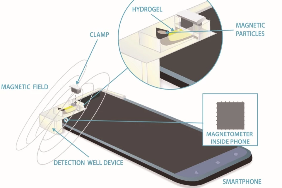A diagram showing the glucose- and pH-measuring set up