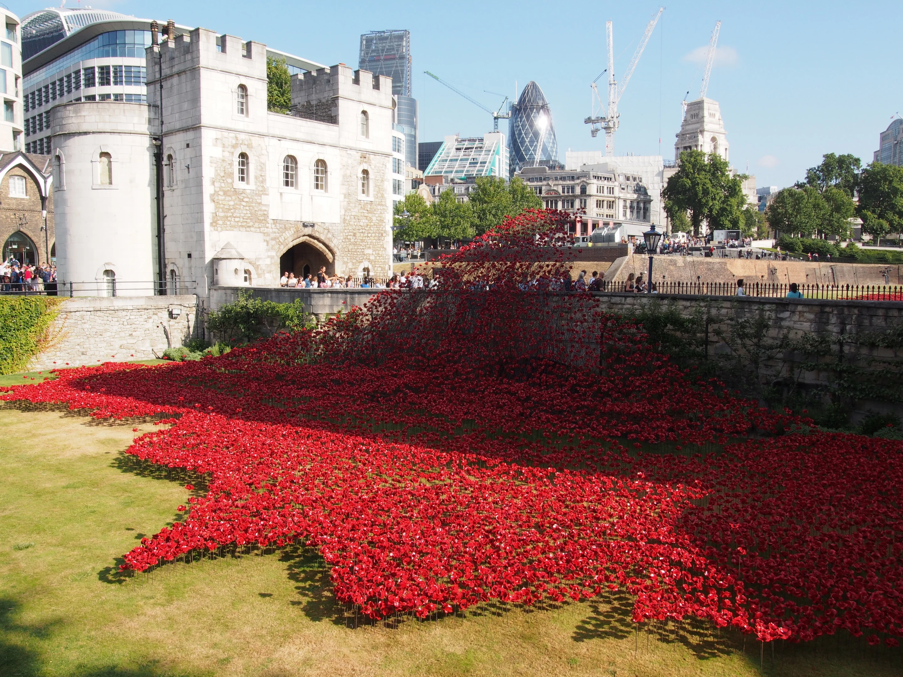 The first poppy was placed by long serving Tower of London Yeoman Warder YS Crawford Butler on July 7 (Photo: Adam Williams/Gizmag)