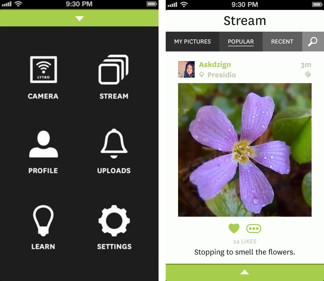 The Lytro Mobile iPhone app lets users share images in their full refocusing glory