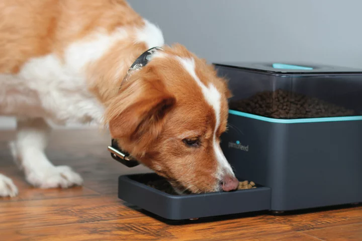 The Pintofeed pet feeder
