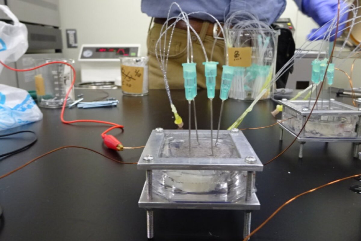 Ray Of Light Researchers Power Led By Connecting It To A Fish