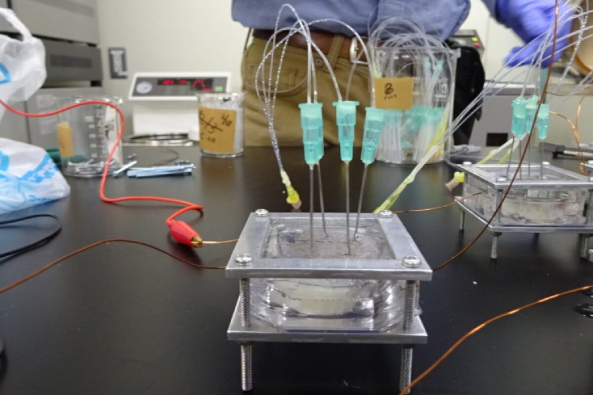 One of the units containing the electricity-generating organ from the torpedo fish, with syringes that inject acetylcholine to stimulate it