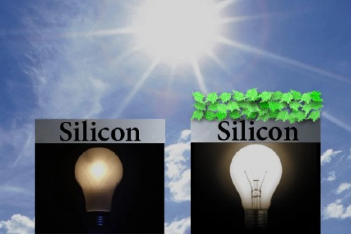 Adding plant proteins greatly enhances silicon solar cells (Image: Julie Turner/Vanderbilt)