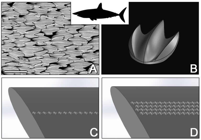 Denticles from the shortfin mako shark (a), the shortfin mako denticle parametric 3D model (b), the shortfin mako shark denticles were arranged in a wide variety of configurations on the aerofoil (c and d)