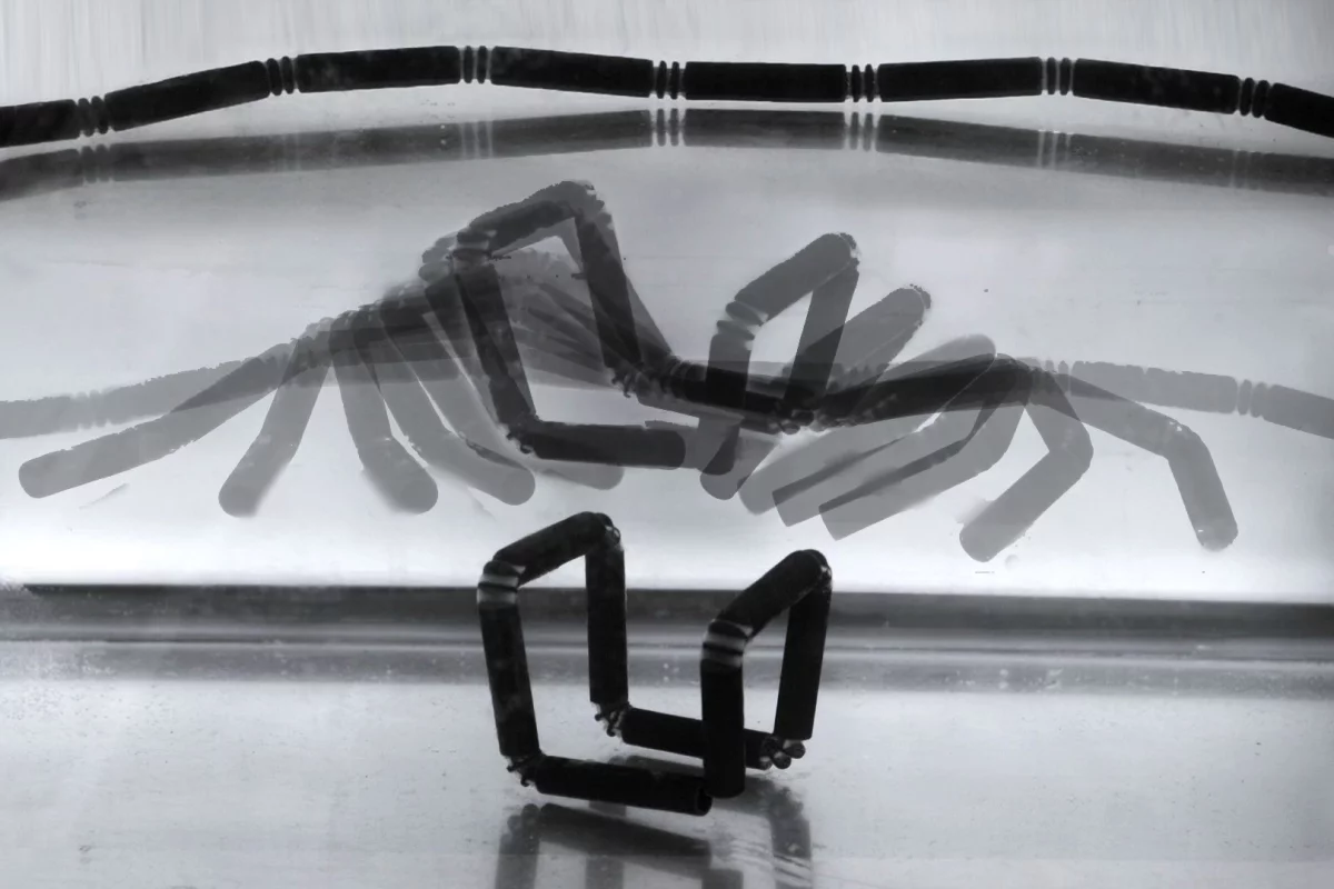 “4D printing” sees 3D-printed materials self-assemble into different shapes (Image: Skylar Tibbits)