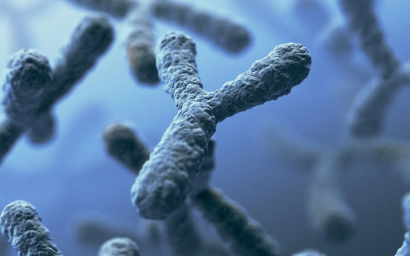 Graphic of a Y chromosome
