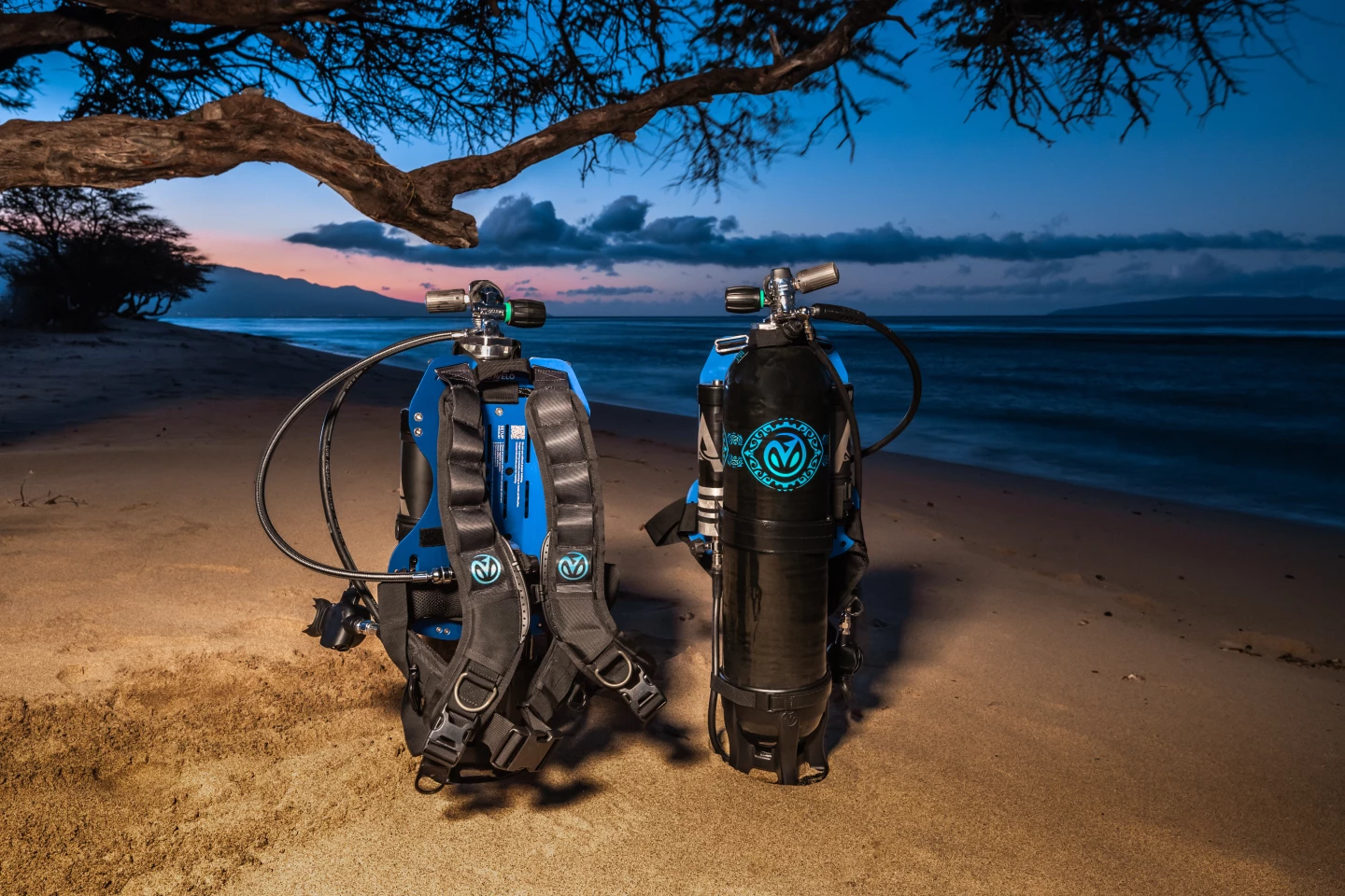 The Avelo System should be commercially available in 2024