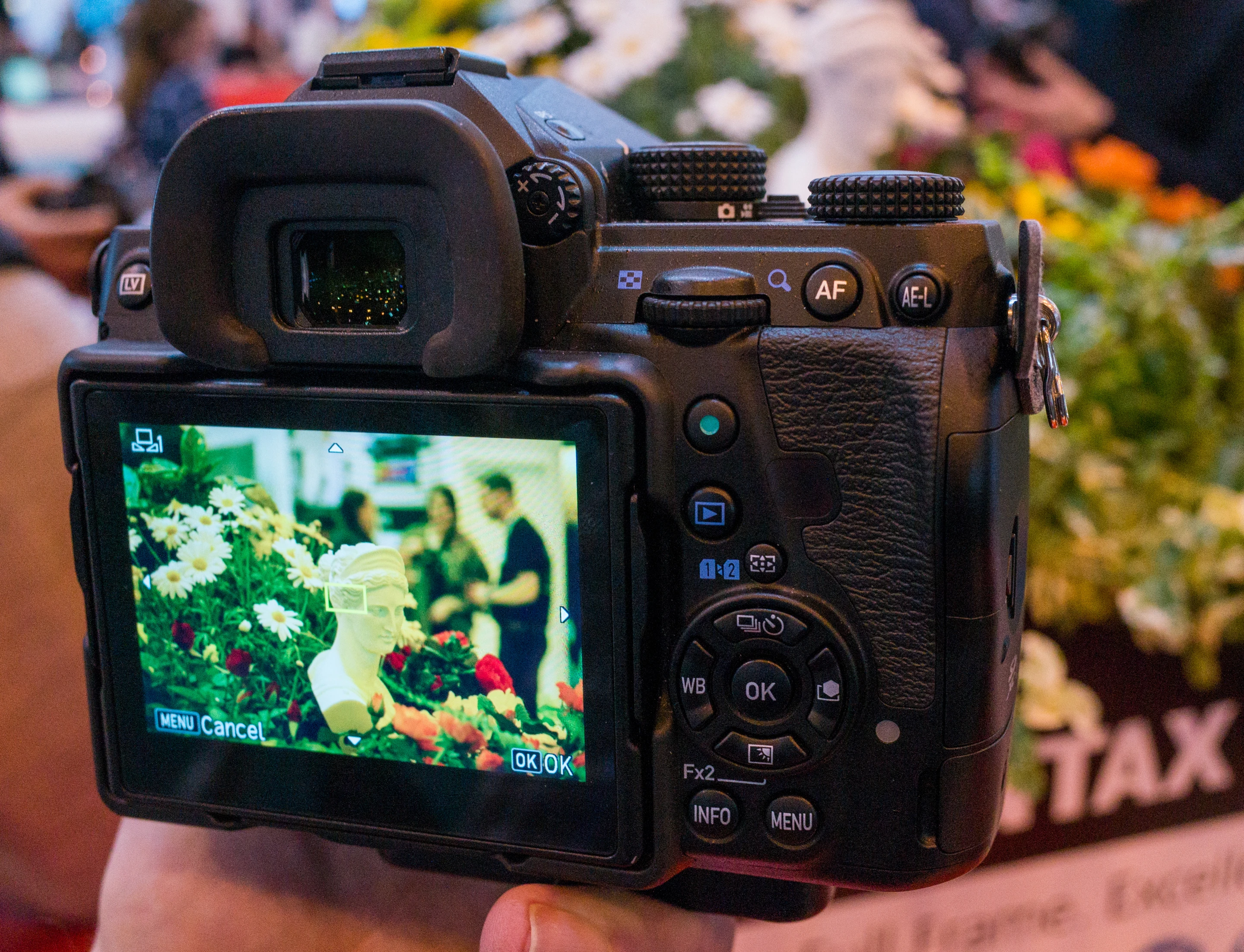 The sensor-shift stabilization in the Pentax K-1 appears to be very effective